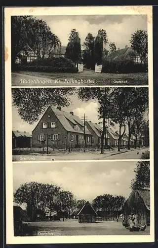 AK Hodenhagen /Kr. Fallingbostel, Gutshof, Siedlung, Dorfplatz