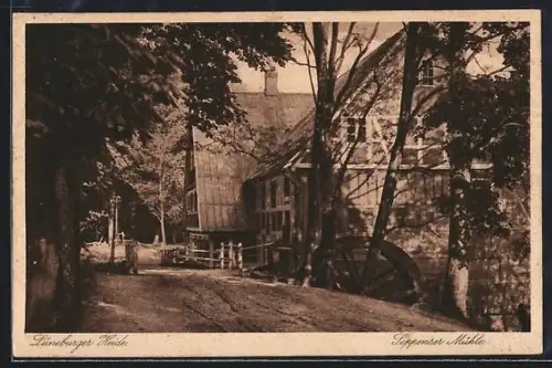 AK Buchholz in der Nordheide, Ansicht der Seppenser Mühle