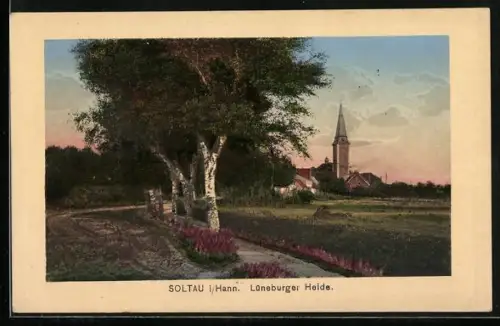 AK Soltau i. Hann., Kirche, Landschaft