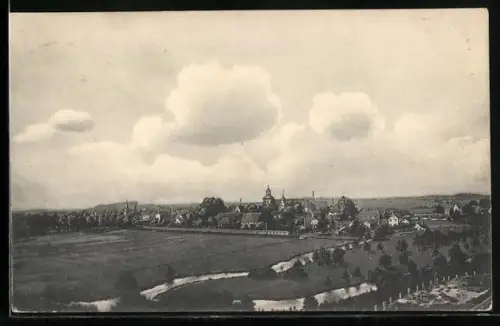 AK Walsrode, Panoramaansicht