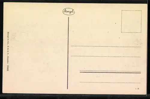 AK Stralsund, Trajekt von Rügen, Stadtansicht