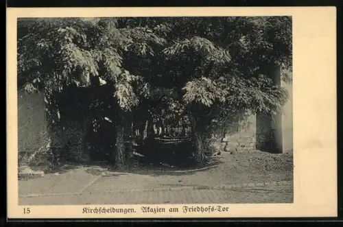 AK Kirchscheidungen, Akazien am Friedhofs-Tor