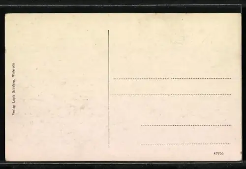 AK Walsrode, Ortsansicht mit Kirche und Wohnhäusern