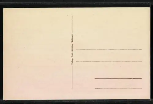 AK Walsrode, Ortsansicht mit Kirche