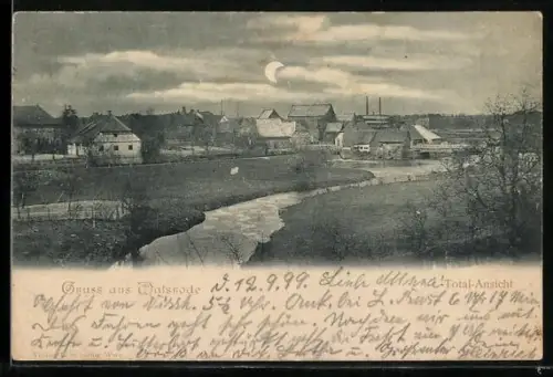 AK Walsrode, Total-Ansicht