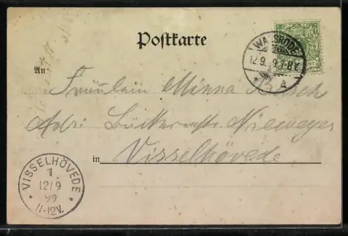 AK Walsrode, Total-Ansicht