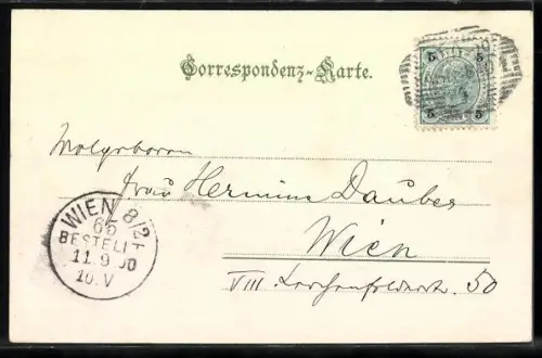 AK Karlsbad, Blick von der Hubertusburg mit Mühlbrunnen und Westend