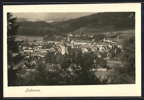 AK Liebenau, Panorama