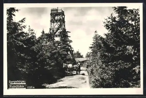 AK Neustadt a. T., Schutzhaus und Aussichtsturm Tafelfichte