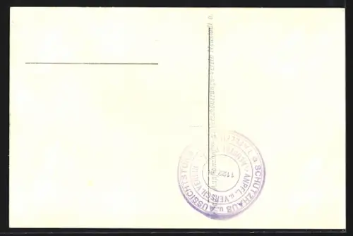 AK Neustadt a. T., Schutzhaus und Aussichtsturm Tafelfichte