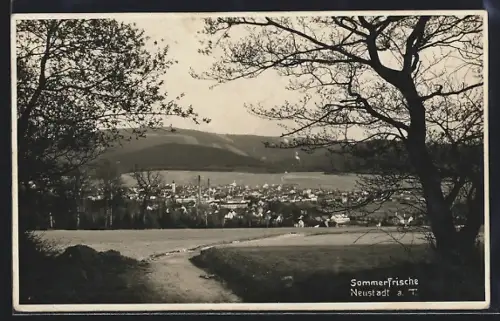 AK Neustadt (aT) / Nove Mesto Pod Smrkem, Totalansicht