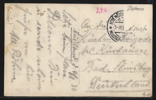 AK Neustadt (aT) / Nove Mesto Pod Smrkem, Totalansicht