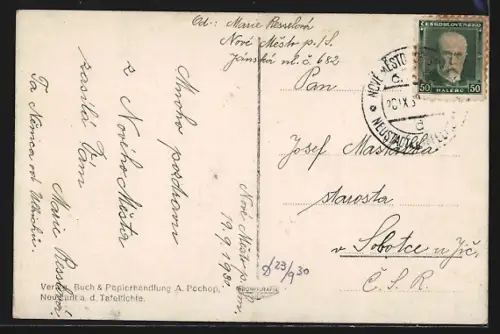 AK Neustadt a. T., Panorama