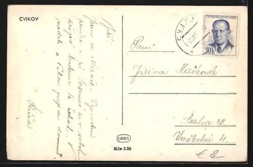 AK Cvikov, Panorama