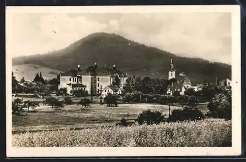 AK Cvikov, Okres Nový Bar