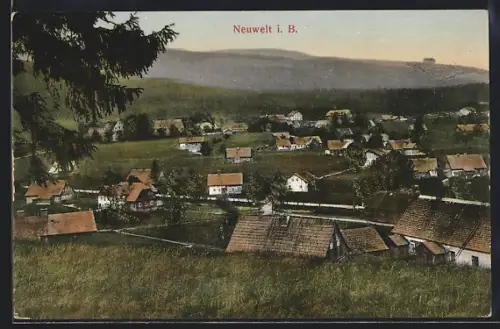 AK Neuwelt in Böhmen, Totalansicht aus der Vogelschau