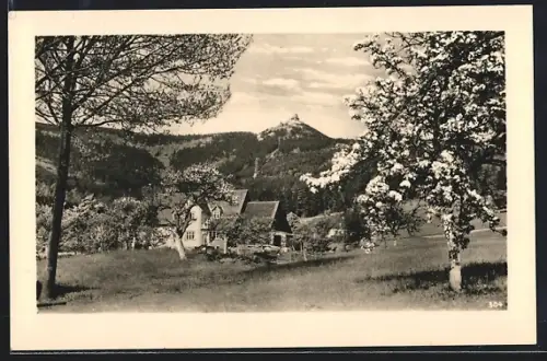 AK Reichenberg, Jeschken