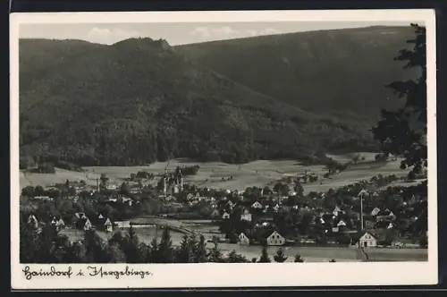 AK Haindorf i. Isergebirge, Blick auf die Wallfahrtskirche