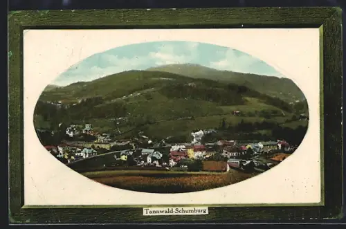 AK Tannwald-Schumburg, Ortsansicht aus der Vogelschau