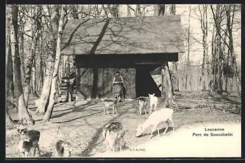 AK Lausanne, Parc de Sauvabelin