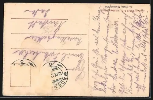 AK Wädenswil, Uferpartie mit Kirche