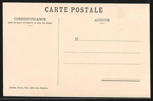 AK Lac Léman, Panorama et les Cygnes