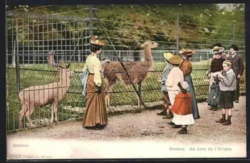 AK Genève, Au parc de l`Ariana