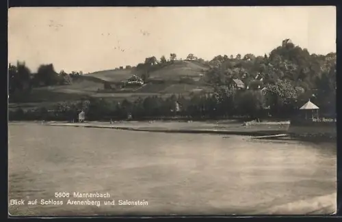 AK Mannenbach, Blick auf Schloss Arenenberg und Salenstein