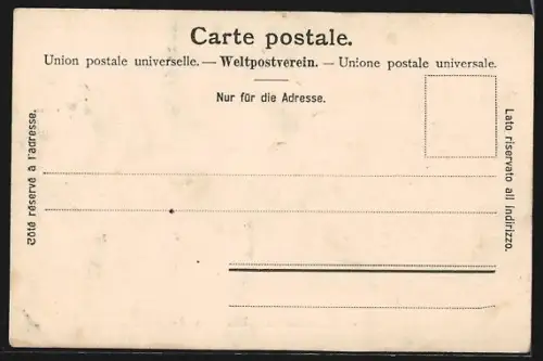 AK Basel, Teilansicht mit Münster und Rhein