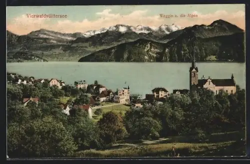 AK Weggis /Vierwaldstättersee, Panorama mit den Alpen