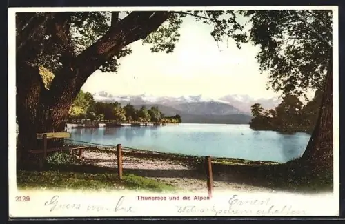 AK Thunersee, Panorama und die Alpen