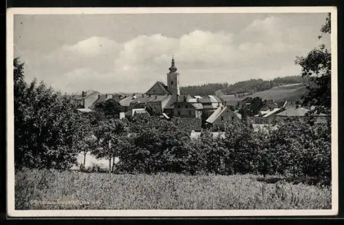 AK Pilnikau /Sudetengau, Panorama