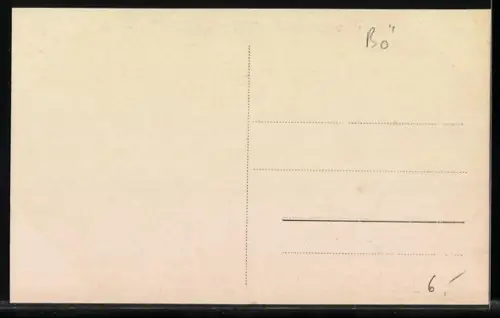 AK Náchod, Plhov, Panorama mit Schloss