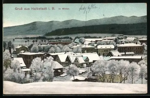 AK Halbstadt i. B., Ortschaft im Winter