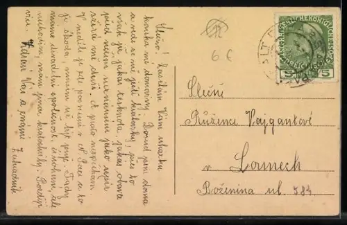 AK Stará Paka, Celkový pohled