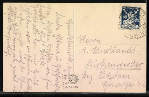 AK Spindelmühle i. Böhmen, Panorama mit Ziegenrücken