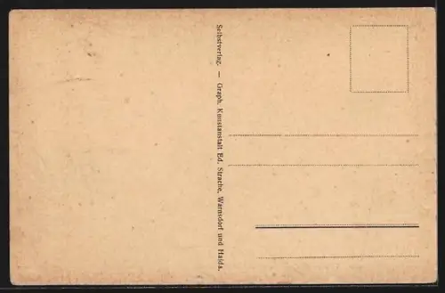 AK Warnsdorf i. B., V. Bez., Panorama