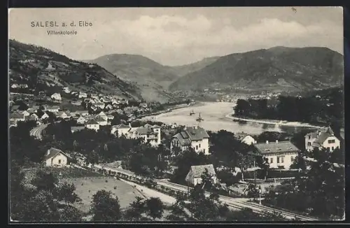 AK Salesl a. d. Elbe, Villenkolonie