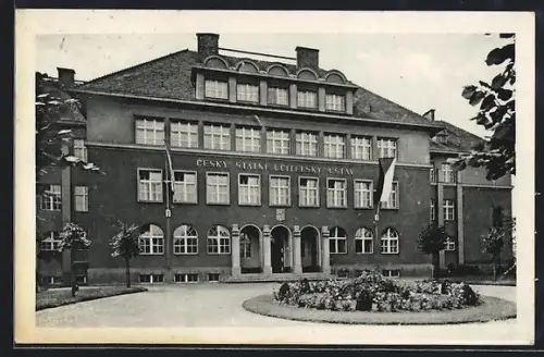 AK Zatec, Státní ucitelský ústav