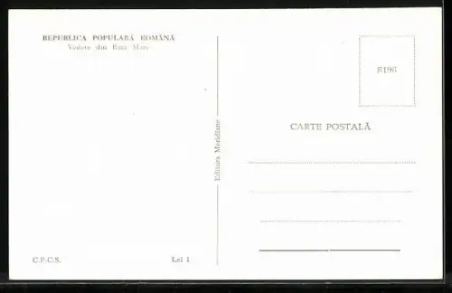 AK Baia Mare, Panorama