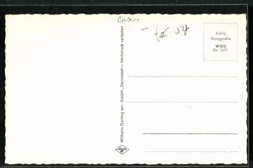 AK Darmstadt, Marktplatz mit Geschäften, Rathaus und Stadtkirche