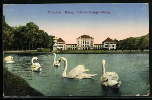 AK München, Schloss Nymphenburg vom Wasser aus, Schwäne