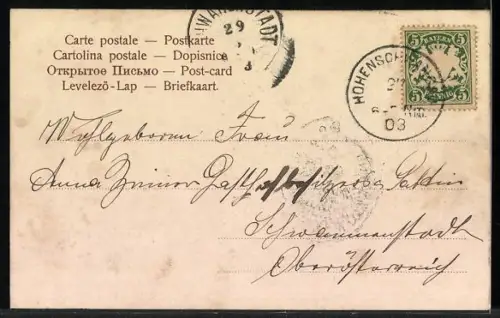 AK Neuschwanstein, Königliches Schloss mit Umgebung