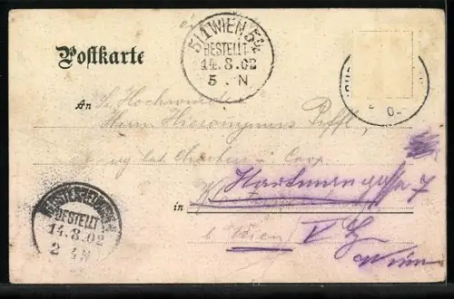 AK Kgl. Schloss Neuschwanstein, Ansicht aus der Vogelschau