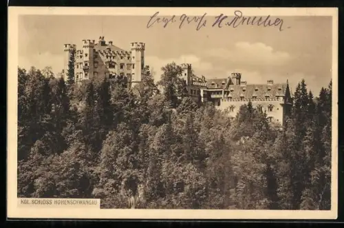 AK Kgl. Schloss Hohenschwangau, Ansicht mit Wald aus der Vogelschau