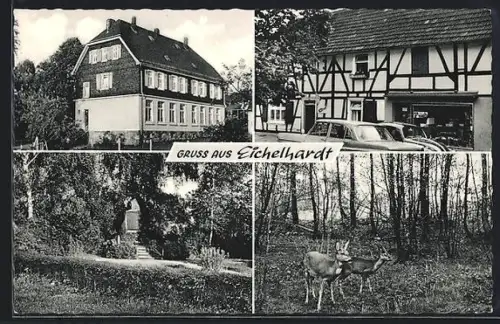 AK Eichelhardt, Anwesen, Geschäft, Denkmal und Rehe
