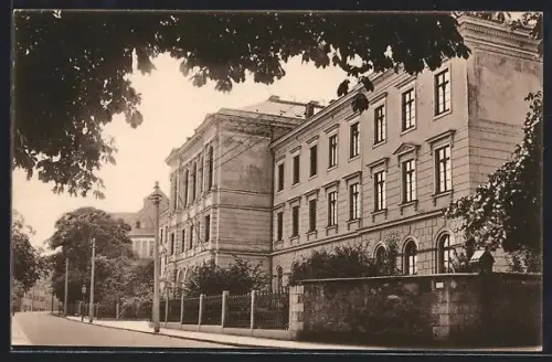 AK Freiberg / Sachsen, Gymnasium Albertinum