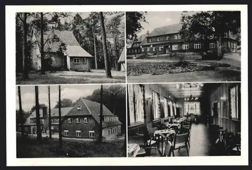 AK Undeloh /Harburg, Erholungsheim G. m. b. H. Albert-Thiele-Heim, Gebäude, Speisesaal