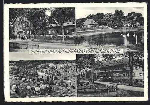 AK Undeloh über Tostedt, Gasthaus H. Heilmann, Teich und Weide