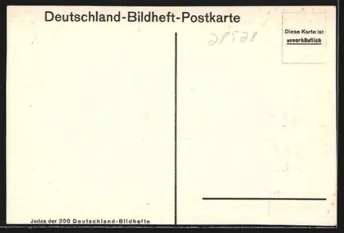 AK Neustrelitz, Schloss zu Neustrelitz mit Parkanlage